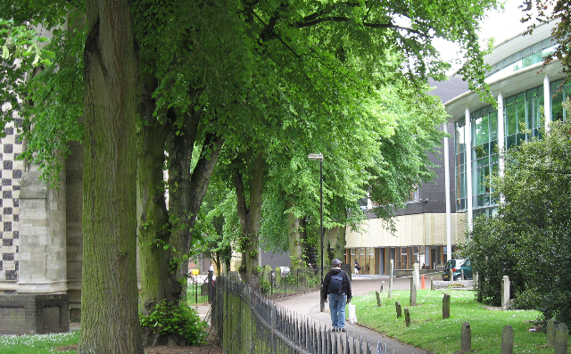 img_3251.jpg img_3251.jpg